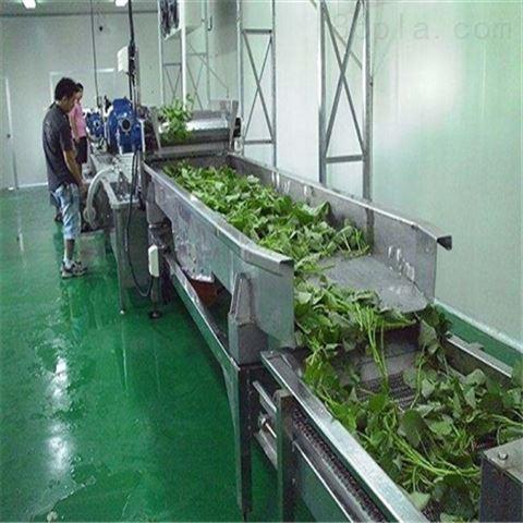 凈菜加工設備-大連泰合機械制造有限公司